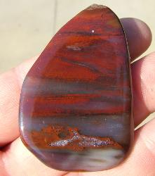 this is another variation of the arizona petrified wood