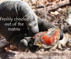This peice of paint rock agate was chiseled out of the matrix seen in above photo