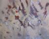 often the crystals have hematite inclusions ( ENLARGED IMAGE )