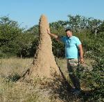 termite mound taller than I am !